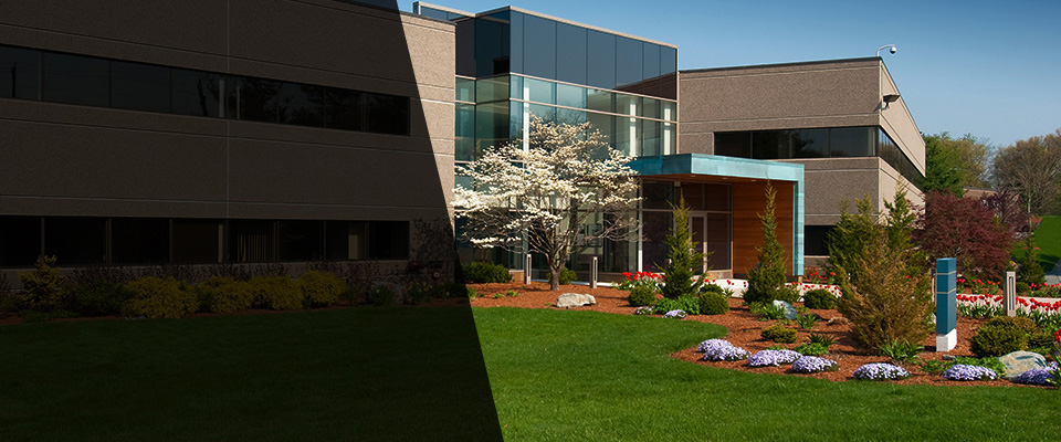 Clewiston Landscapers